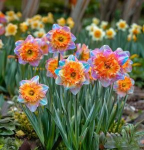 Нарцисс Айвери Дон купить по цене от 3000р. в интернет-магазине «Посадика» с доставкой почтой в в Москве и по всей России – [изображение №1].