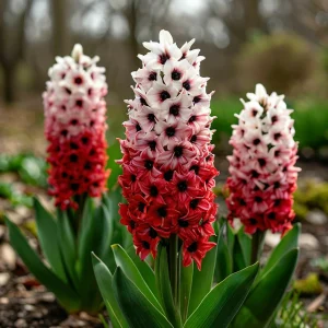 Гиацинт Скай Гарден купить по цене от 2099р. в интернет-магазине «Посадика» с доставкой почтой в в Москве и по всей России – [изображение №1].